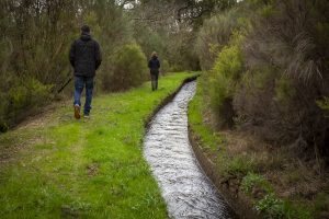 Fox Trail walking path in Vale do Lourêdo