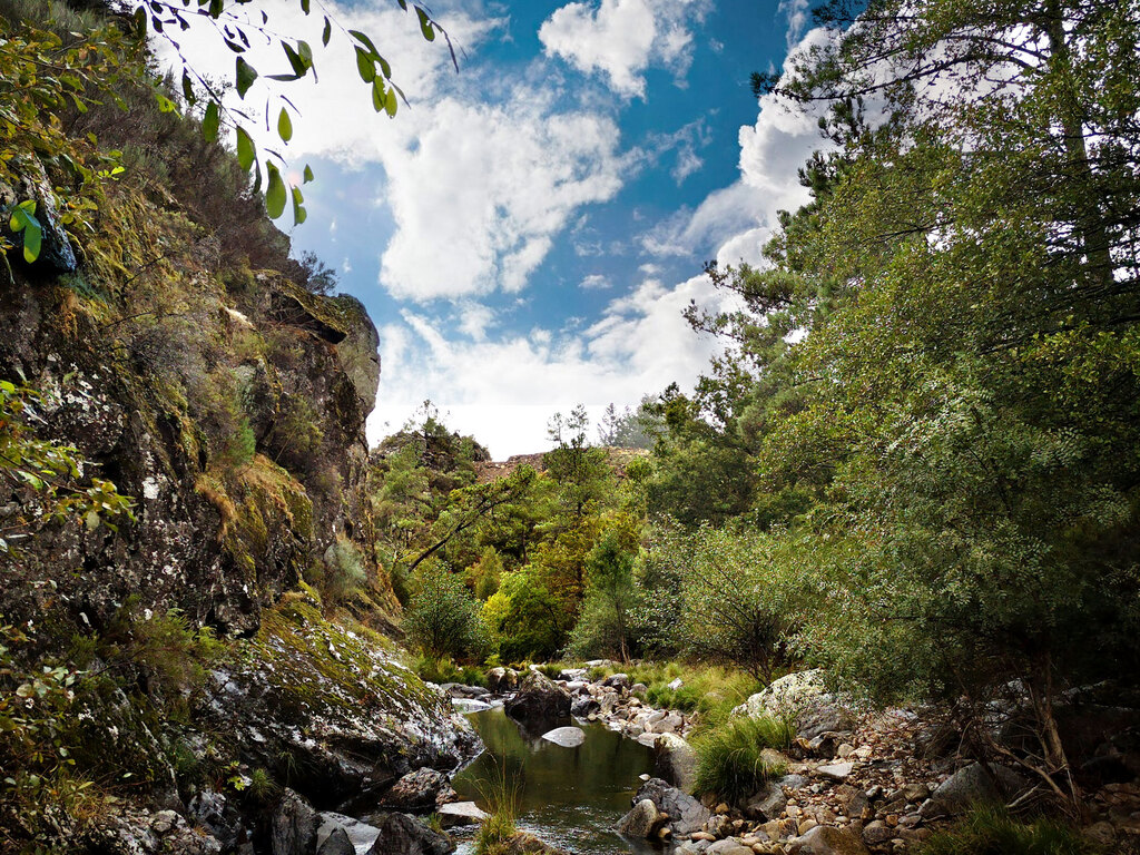 Lourêdo river ecosystem in Ribeira de Pena